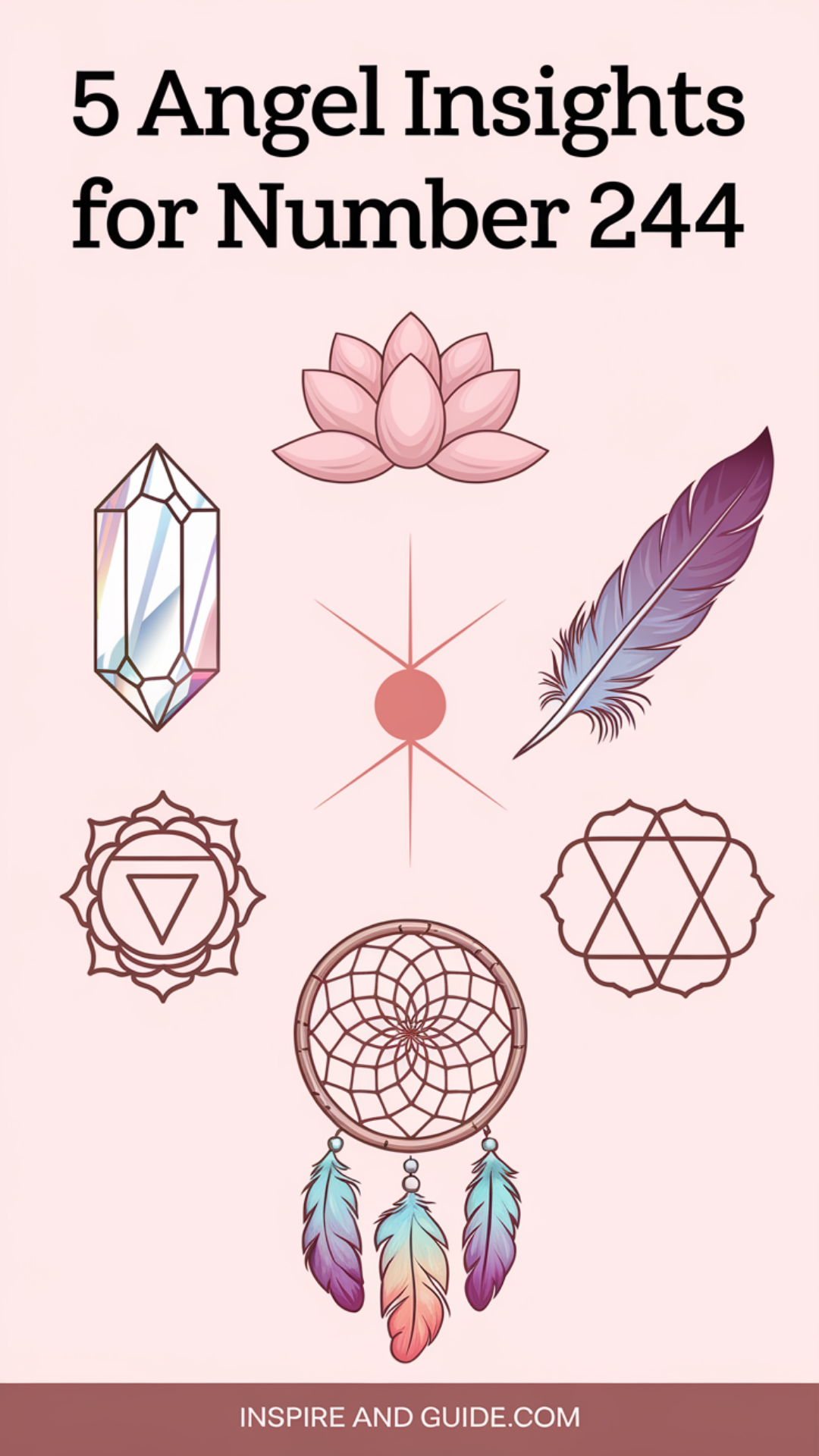 5 Angel Insights for Number 244 5 Angel Insights for Number 244
