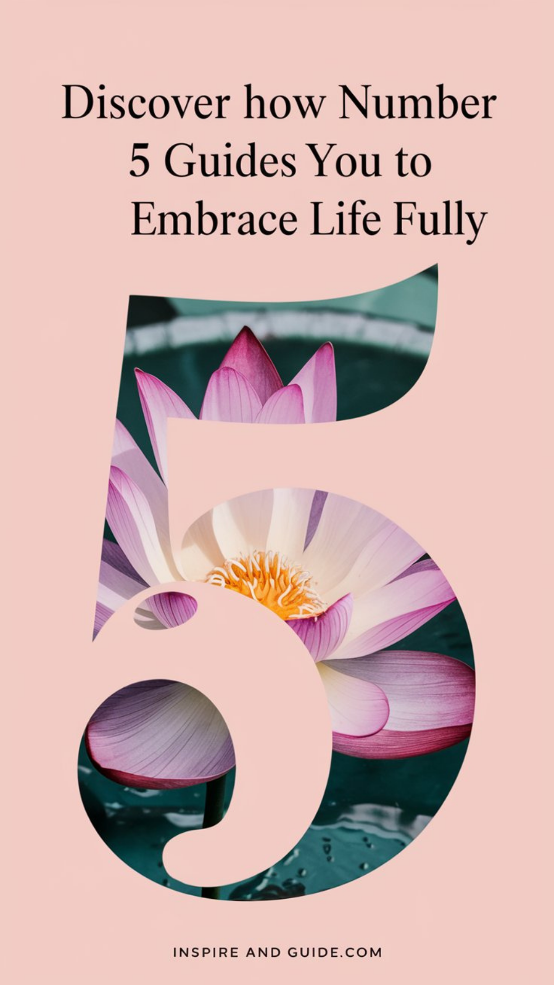 Discover How Number 5 Guides You to Embrace Life Fully Discover How Number 5 Guides You to Embrace Life Fully
